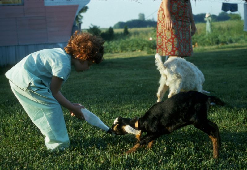  at Windy Acres Farm in Ohio, summer 1975